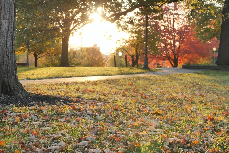 Discovering Williamsport, PA: An Introduction to the City and its Weather