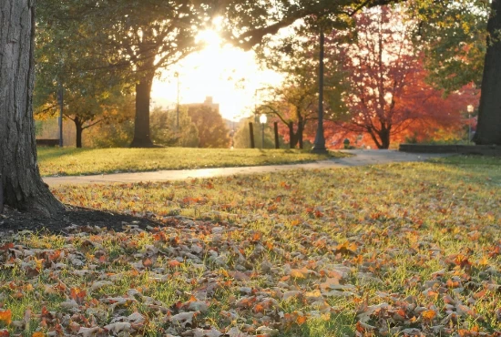 Discovering Williamsport, PA: An Introduction to the City and its Weather