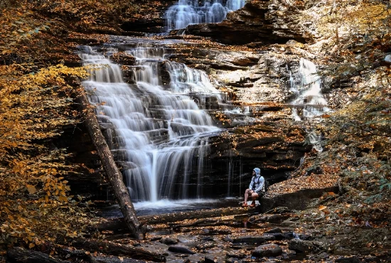 Exploring Beyond Williamsport: Road Trips from the Heart of Pennsylvania