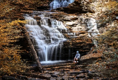 Exploring Beyond Williamsport: Road Trips from the Heart of Pennsylvania